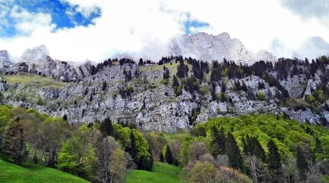 Trees and mixed forests on the slopes between the Churfirsten and Lake Walensee Stock Photos