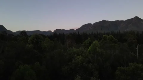 Trees and Mountain Vídeos de archivo 237838347