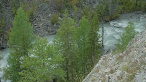 Trees and mountain river Stock Footage 163844302