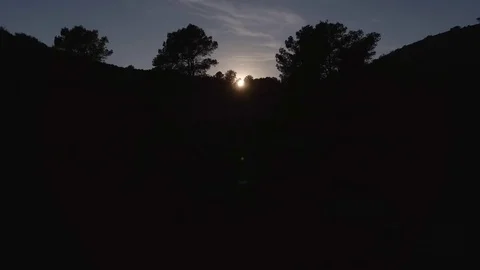 Trees and mountains with backlighting Stock Footage 81516769