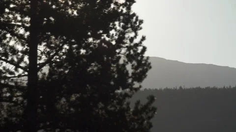 Trees And Mountains 스톡 동영상 105188053