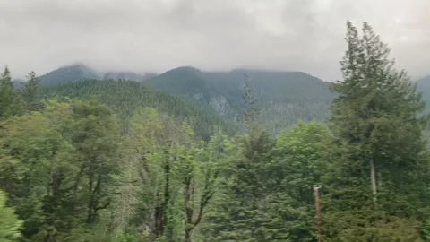 Trees and Mountains Stock Footage 156973073