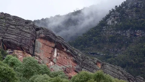 Trees and mountains shot Stock Footage 84803981