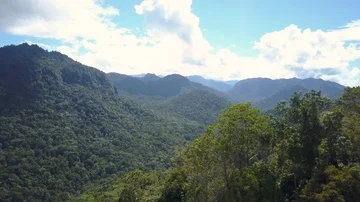 Trees and mountains view Video stock 85552253