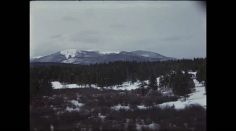 Trees and Mountains in the West Stock Footage 47663369