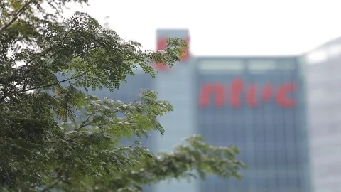 Trees and NTUC Building Video stock 90373380