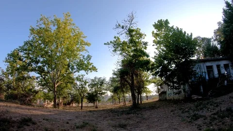 TREES AND OLD BUILDING Stock Footage 94449563