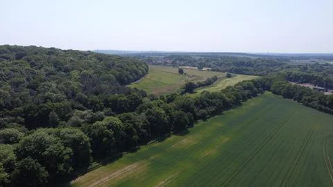 Trees and Open Fields 库存照片