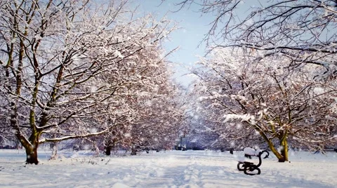 Trees and Park Bench Covered in Snow During a Snowstorm 스톡 동영상 58283483