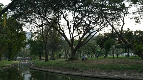Trees and park in city Stock Footage 112554255