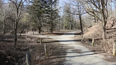 Trees and the paths Stock Footage 87356532
