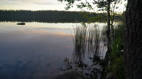 Trees and plants at lake with mirror surface reflecting sky Stockbeeldmateriaal 101049847