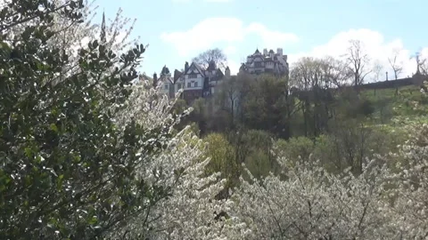 Trees and pld buildings at the back Stock Footage 92095457