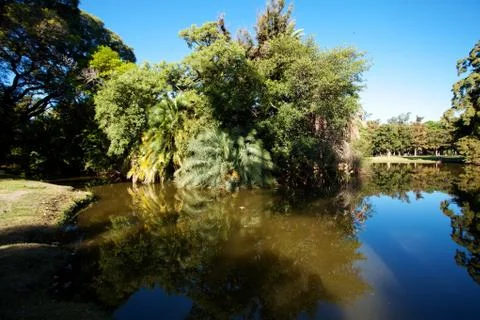 Trees and a pond on a background of blue sky and the city Foto stock