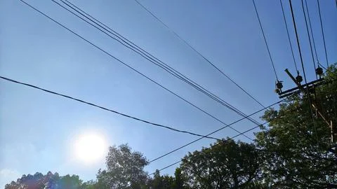 Trees and power cable with bright morning sunlight in a blue sky (2) Stock Photos