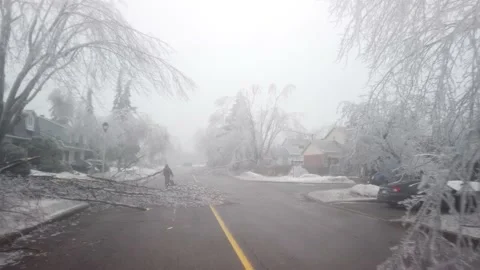 Trees and Power Fallen in Quebec After Ice Storm Stock Footage 238535066