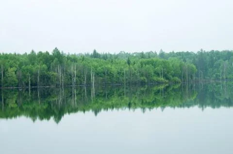 Trees and reflections Foto stock