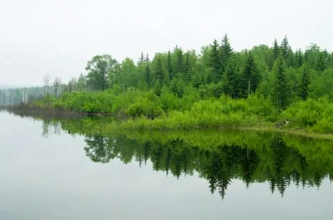 Trees and reflections Foto stock
