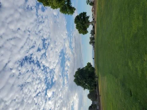 Trees and ripple clouds Stock Photos