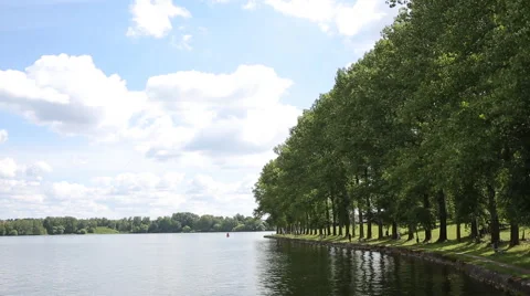 Trees and river Stock Footage 40052170