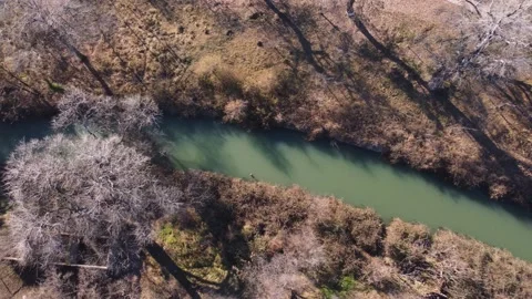 Trees And River Stock Footage 168954252