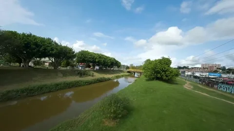 Trees and river Stock Footage 252148232