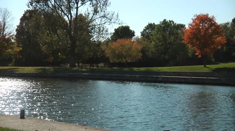 Trees and river in the park Stock Footage 55855941