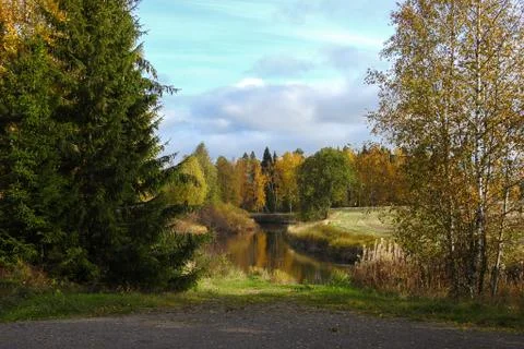 Trees and river Stock Photos