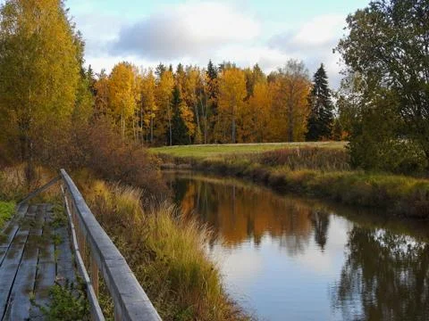Trees and a river Stock Photos
