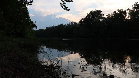Trees and River Reflection at Sunset Landscape Stock Footage 81590688