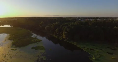 Trees and river at sunset Stock Footage 265860014