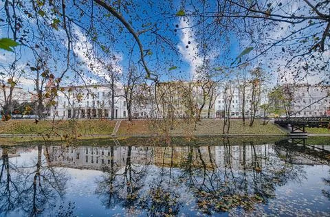 Trees and river in Wroclaw Stock Photos