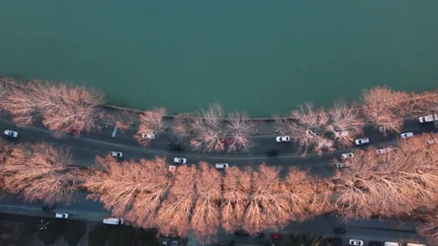 Trees and riverside highway Stock Footage 168961110