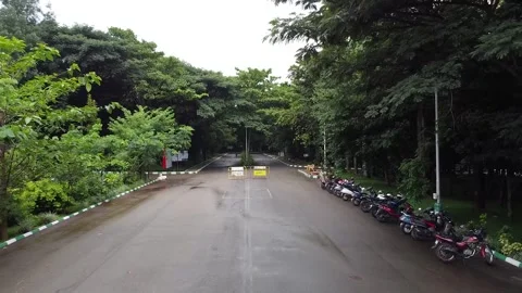 Trees and Road 1 Stock Footage 252056762