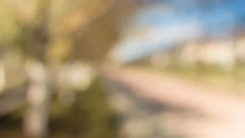 Trees and road Stock Footage 88073416