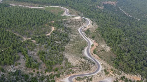 Trees and roads taking with drone Stock Footage 114521358