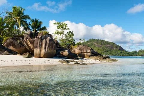 Trees and rocks at anse l' islette beach side Stock Photos
