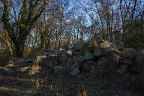 Trees and rocks by the dock Stock Photos