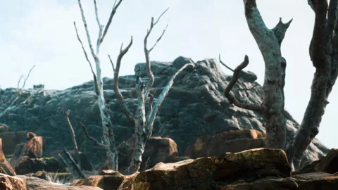 Trees and rocks on a landscape with dead branches in a deserted area Stock Footage 339492823