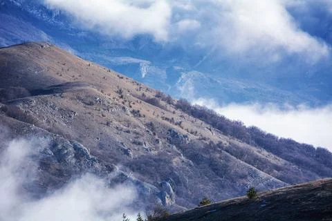 Trees and rocks. Mountain range Demerdzhi Stock Photos