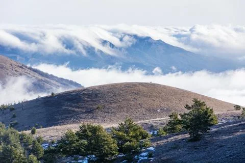 Trees and rocks. Mountain range Demerdzhi Stock Photos