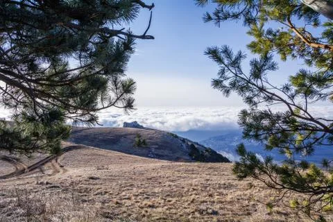 Trees and rocks. Mountain range Demerdzhi Stock Photos