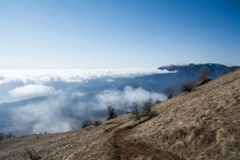Trees and rocks. Mountain range Demerdzhi Stock Photos