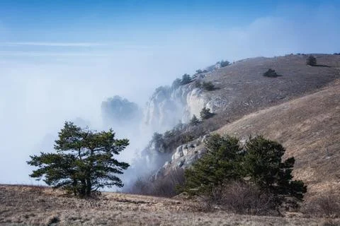 Trees and rocks. Mountain range Demerdzhi Stock Photos