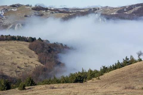 Trees and rocks. Mountain range Demerdzhi Stock Photos