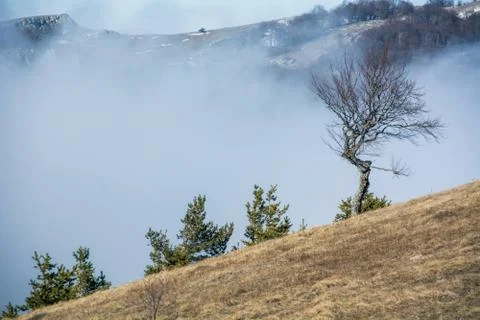 Trees and rocks. Mountain range Demerdzhi Foto stock