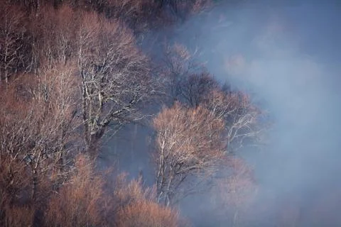 Trees and rocks. Mountain range Demerdzhi Stock Photos
