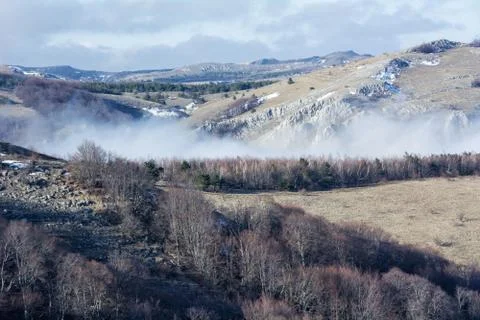 Trees and rocks. Mountain range Demerdzhi Foto stock
