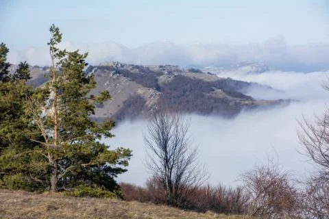 Trees and rocks. Mountain range Demerdzhi Stock Photos