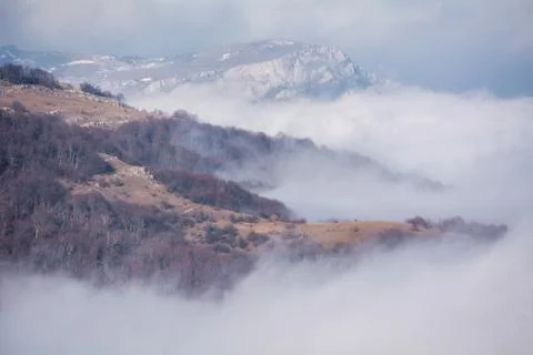 Trees and rocks. Mountain range Demerdzhi Stock Photos